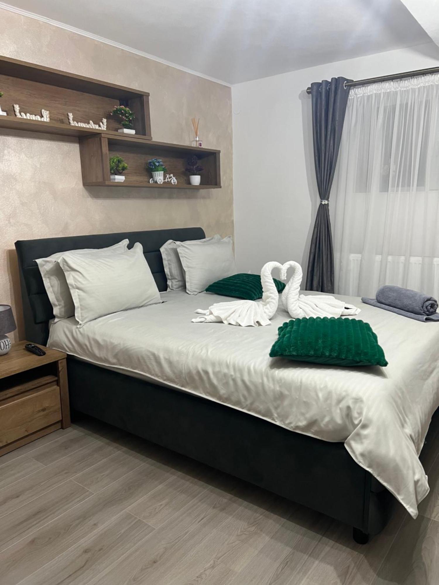 Apartament Anca-old Town *